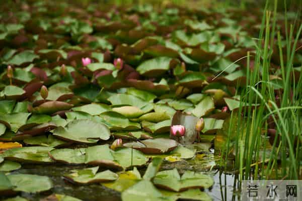 人过五十，异性对你再好，这3个便宜也别占，占了多半惹祸上身