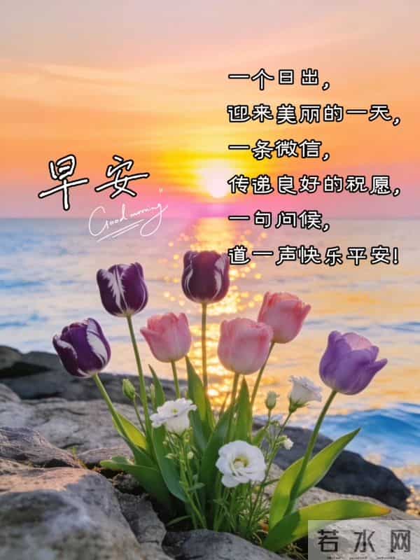 早安祝福美图 - 走过秋，迎来冬，轻声问候里，藏着最温暖的祝福