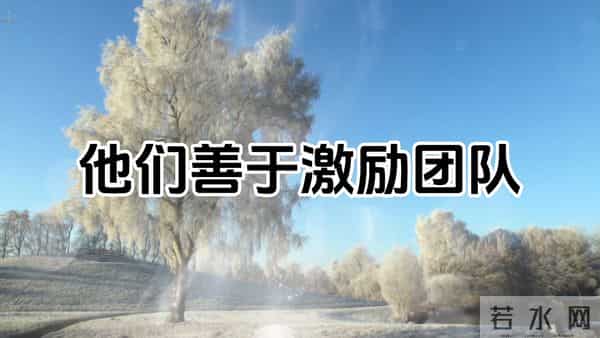 最容易出大老板的三个星座