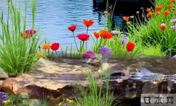 两性交往，这些“肉麻话”，女人很爱听，尤其是过了中年的女人