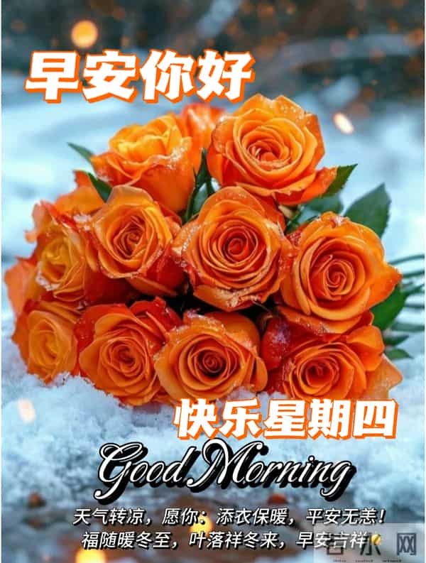 2025年12月11日周四早上好温馨问候语 早安图片 早安祝福精美图片