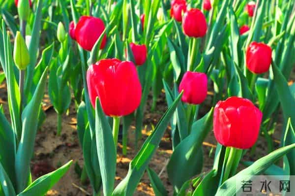 面对爱而不得的人，最好的方式，其实就一个字