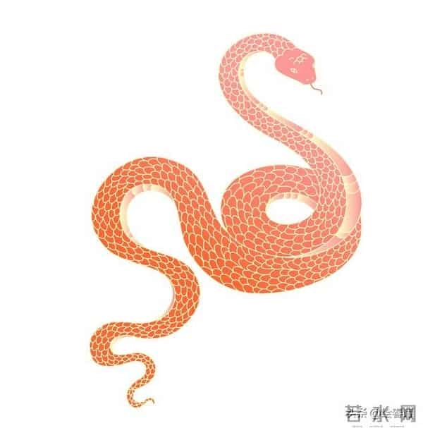 属蛇人速看！年底小心“精神内耗阳了”，专偷你的能量！