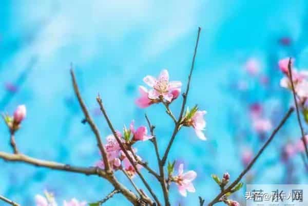 60岁女人让你碰，不是，你别傻了，那不是将就，那是交给你半条命