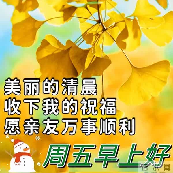开心简短的早安佳句,高质量暖心问候,清晨又来到,向你问声好