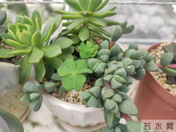 今年最后二十一天，好运开挂！ 这些星座财富积累加速，余额暴涨