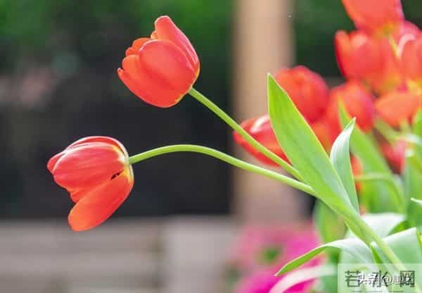 人有没有福气，看吃饭就知道：有福气的人，吃饭大多有这几个特征