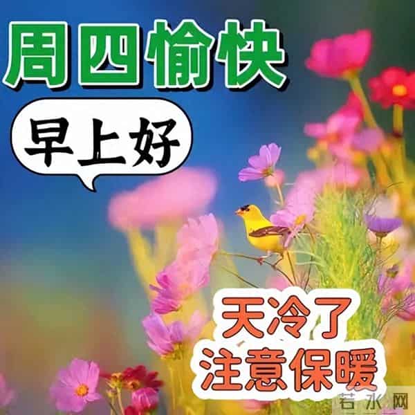 今日最新早上好金句,健康胜过一切祝福语,祝您健康快乐