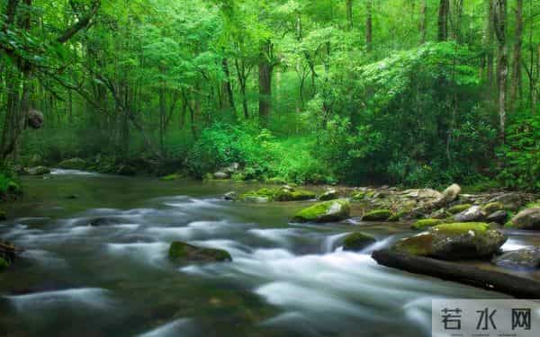 当你感到不顺时，一定要主动丢掉这三样东西