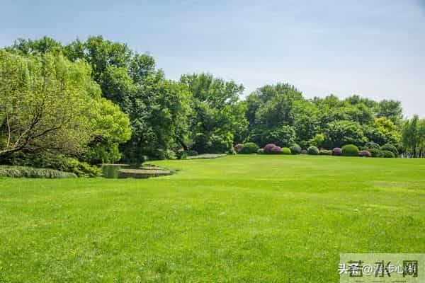 发现没？凡是男人带女人出去玩，女的都会穿裙子，你知道为什么吗