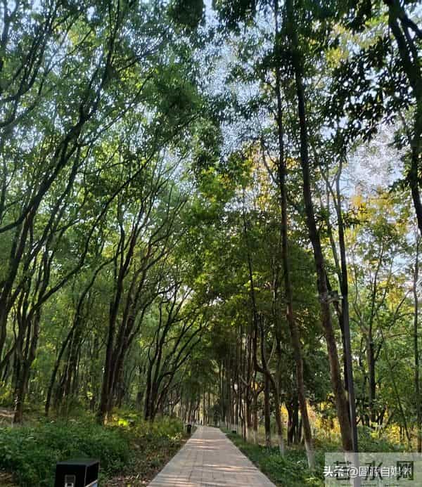 夫妻俩发生激烈争吵，妻子生气跑回娘家，岳父一通电话让男子懵了