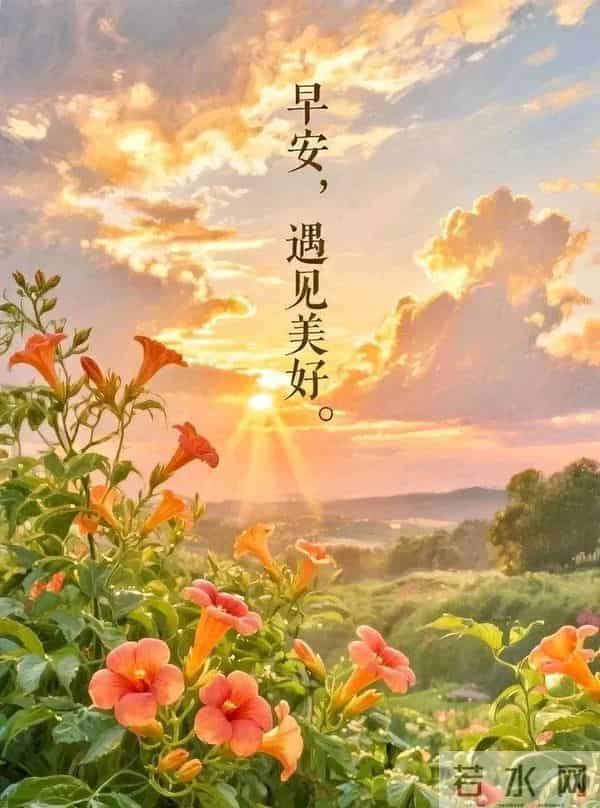 暖心祝福语图片丨浓浓心意，天天传递，舒心顺意，吉祥安康！