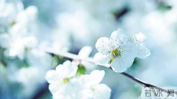 12月11日今日星座，金牛座