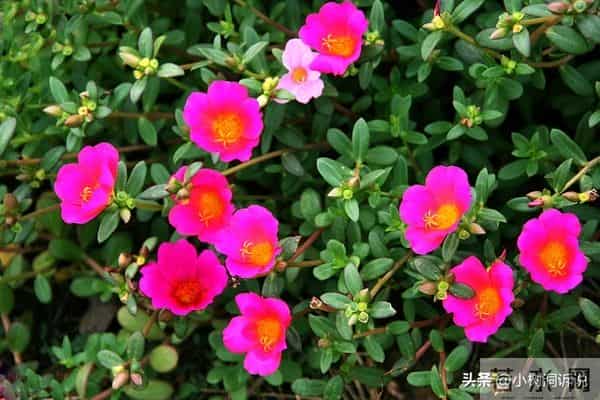 夫妻吵完架后,妻子一夜没睡,给丈夫发了一段话,看哭了多数人