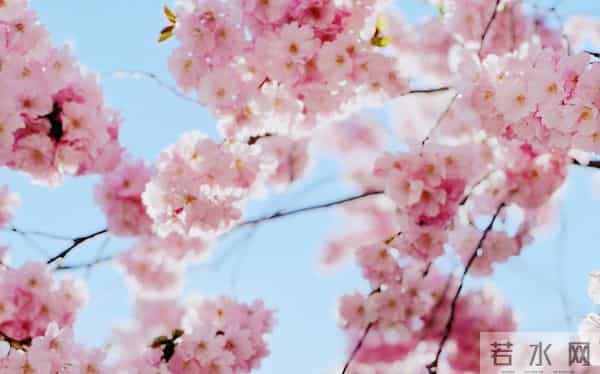 订婚前,小姨让我把彩礼首饰给我妈保管,说婆家靠不住,我妈默认