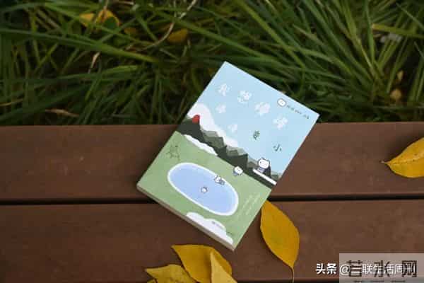 这5句话治好了我的年末焦虑！