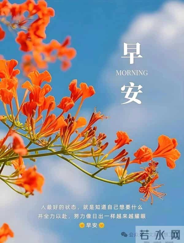 早安美图分享：愿你好运常在，所遇之事皆可化解