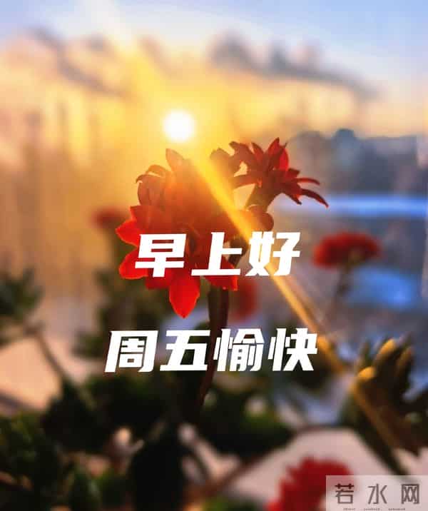 2025年12月12日早上好 早上好温馨问候祝福语 早安精美图片 周五愉快