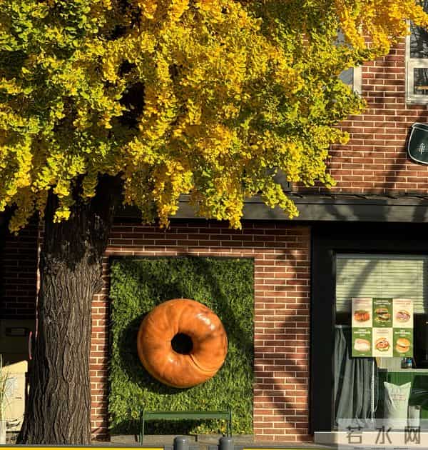 文案｜多像今年没藏住的情绪