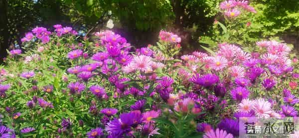 人老莫贪，过了六十，能混到这几点，就算有福之人，该知足了