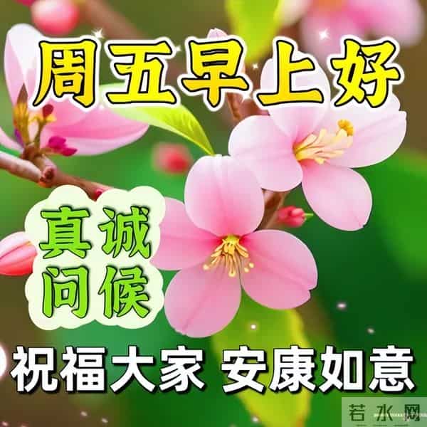 开心简短的早安佳句,高质量暖心问候,清晨又来到,向你问声好
