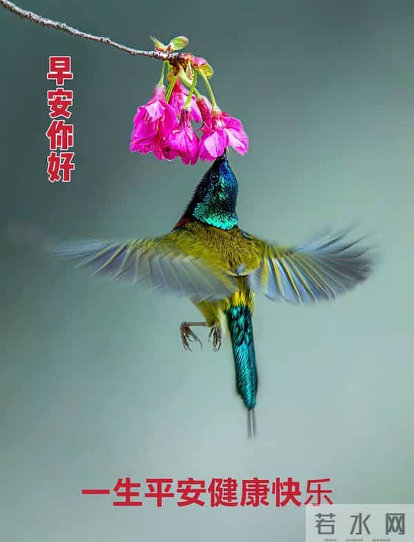 18张最新版动态表情图片大全，早安心语过好今天，迎接全新的明天