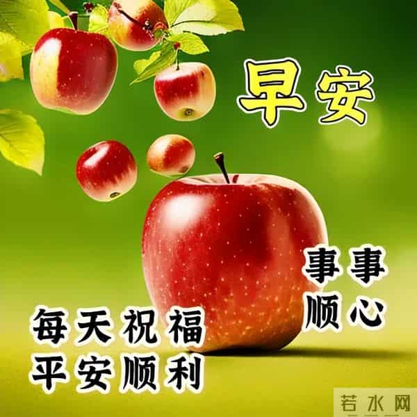 开心简短的早安佳句,高质量暖心问候,清晨又来到,向你问声好