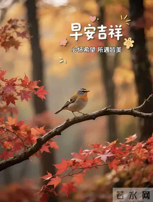 2025年12月12日周五早上好温馨问候语 早安图片 早安祝福精美图片