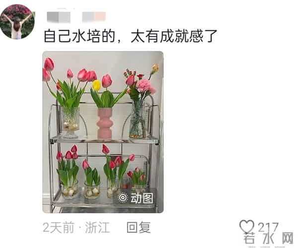 用一张照片证明你是热爱生活的人!网友哭喊:原来我丢失了我自己