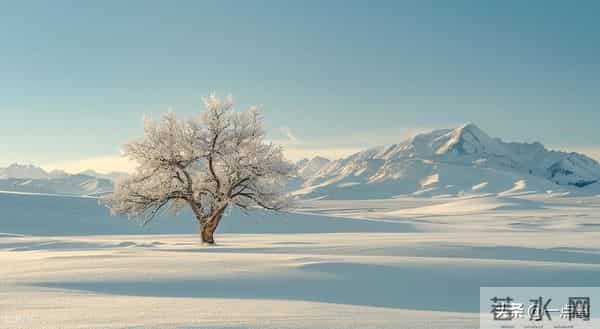 61岁的我，办了一场同学聚会后，才发现：44年的同学情也薄如纸
