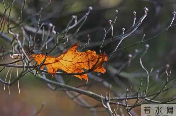 女人转运多半是：金牛逆袭2026