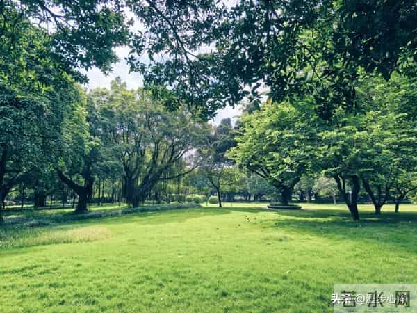 发现没？凡是男人带女人出去玩，女的都会穿裙子，你知道为什么吗