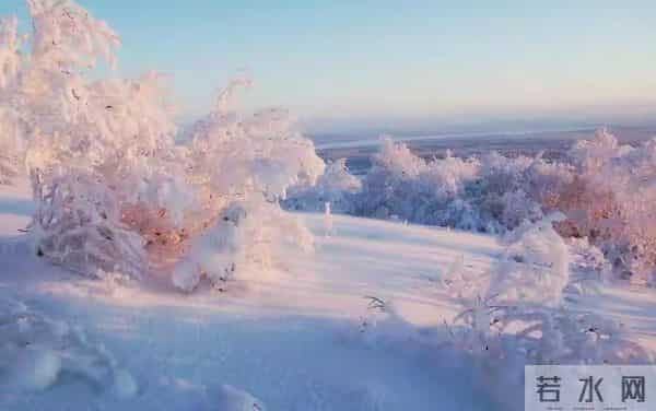 人生苦累独自扛，静默成长更坚强