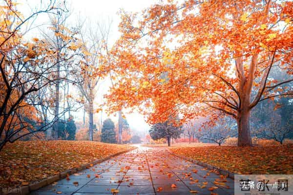 一个52岁女人的心里话：夫妻关系再好，女人也不要把丈夫当成亲人