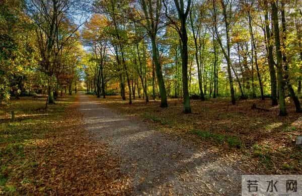 女人转运多半是：金牛逆袭2026