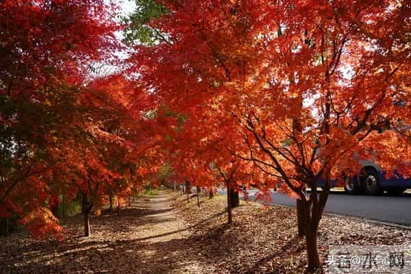 我同居过3位女性，发现女性45岁后找伴侣主要有3个动因