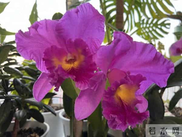 当遇见心头蜜糖宝贝，大声勇敢说爱，不负卿来不负己，让人间值得