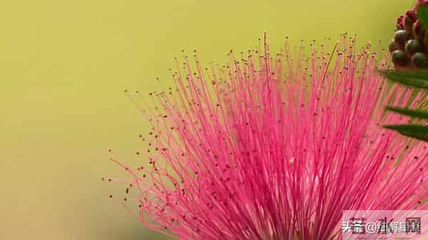 12月12日星期五，未羊，可能会有小事发生