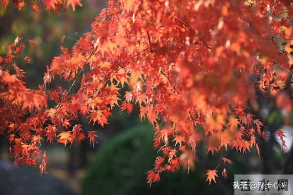 我同居过3位女性，发现女性45岁后找伴侣主要有3个动因