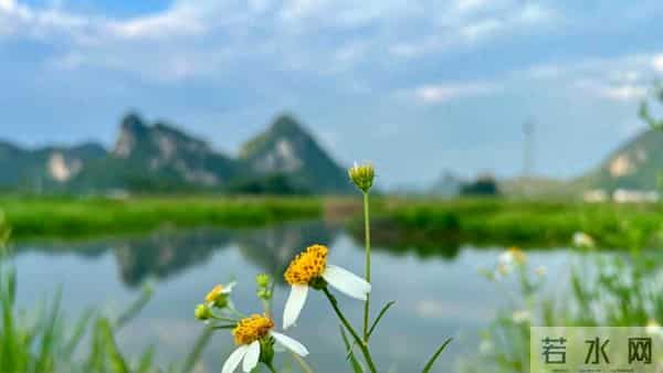 当你感到不顺时，一定要主动丢掉这三样东西