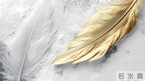 别被处女座的外向骗了！他们的独处模式才是真内核