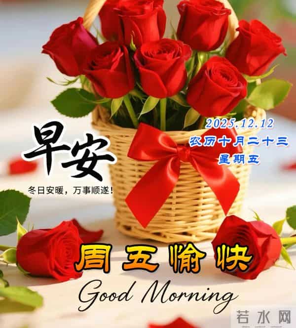 周五早安美图-允许一切如其所是，将心放宽，方能盛放更多宁静