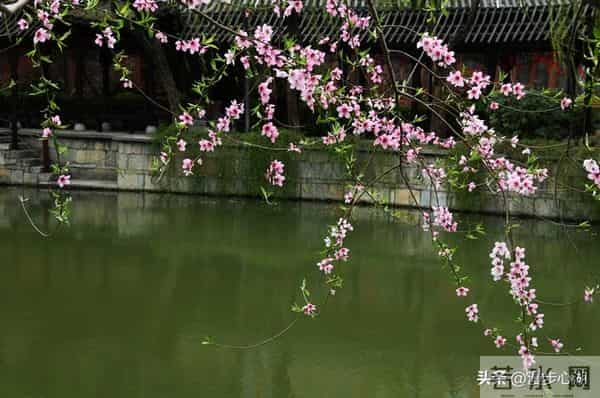 男人触碰女人这个地方，比亲吻拥抱还让她心动，50岁后越碰越恩爱