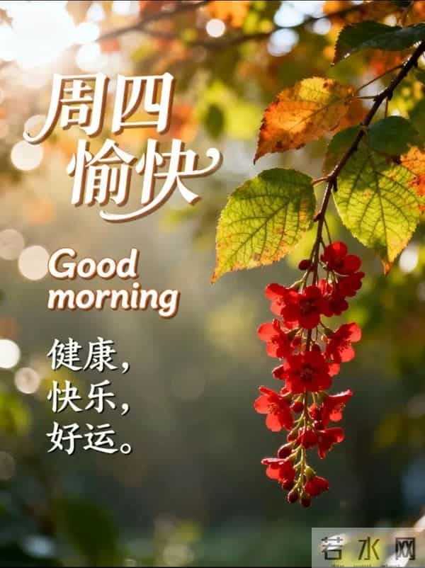 2025年12月11日周四早上好 早上好温馨问候语 今日早安祝福精美图片