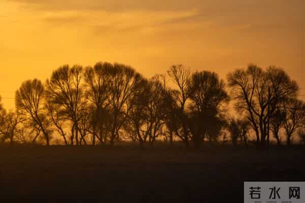 最近很火的朋友圈文案