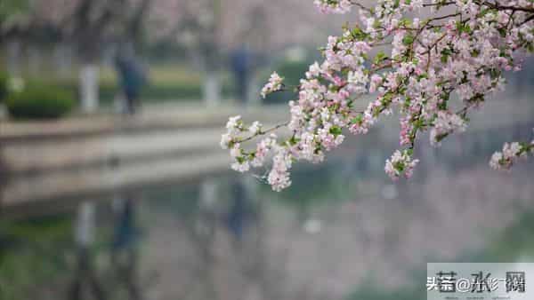 独生女毅然拒绝沦为家庭扶贫之对象，亲家却执着索要四居室之婚房