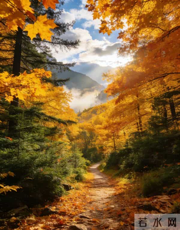 活到七十才明白:夫妻之间还有这三样,日子再淡也无憾