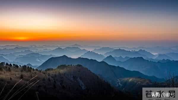 幸存者宣言——致所有在血脉中听见雷声的人