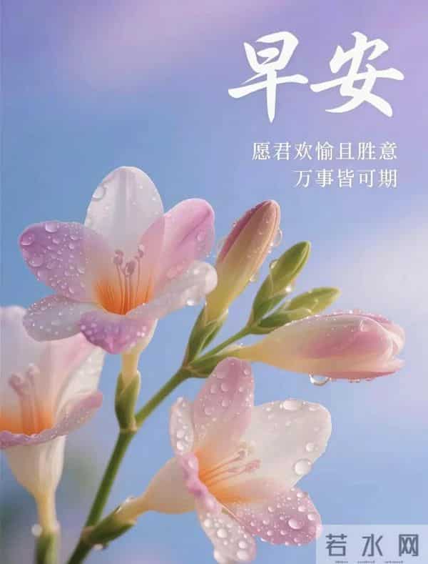 2025年12月11日周四早安 早上好图片最新今天 温馨淡雅的早安图片