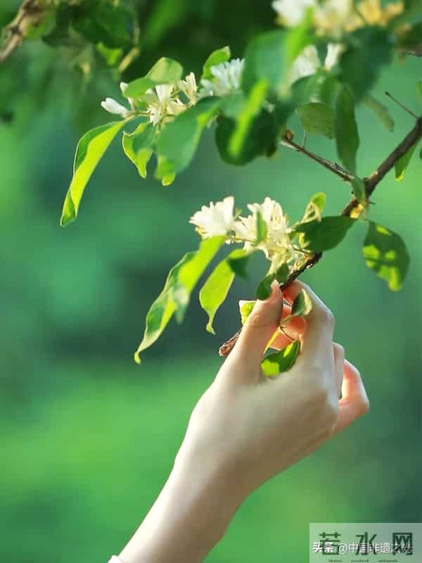 让你越活越好的6个习惯，请逼自己养成